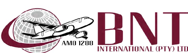 BNT International Logo